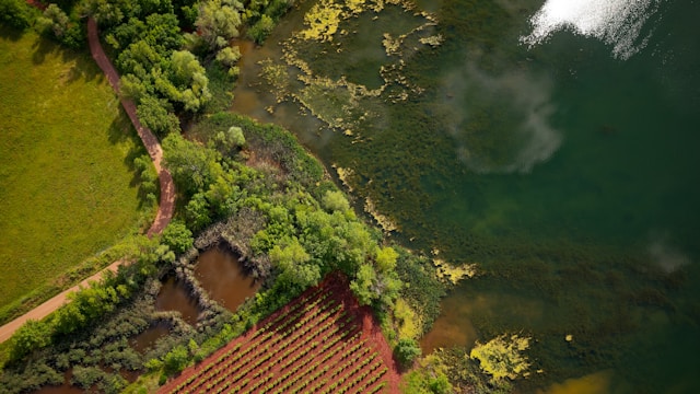 comment vendre un terrain agricole loué